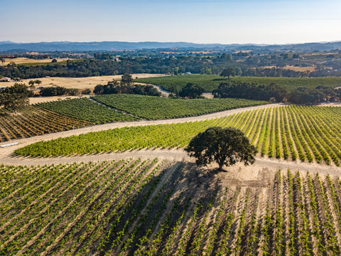 Paso Robles